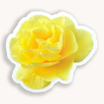 Yellow garden rose vinyl sticker by Simpliday Paper, Olga Nagorna.