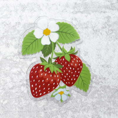 Food stickers, college stickers, MacBook stickers, nature stickers, calendar stickers, plants stickers, sticker for mom, waterproof stickers
