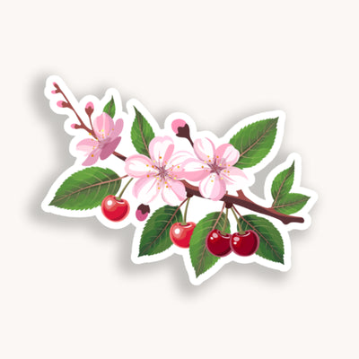 Sticker of cherry blossoms with red cherries on a white background.