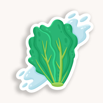 Lettuce vinyl sticker, offered in classic white with white background and white border once the backing is removed. Can be used on recipe binders, mobile phones, water bottles, cups, binders, notebooks and more.