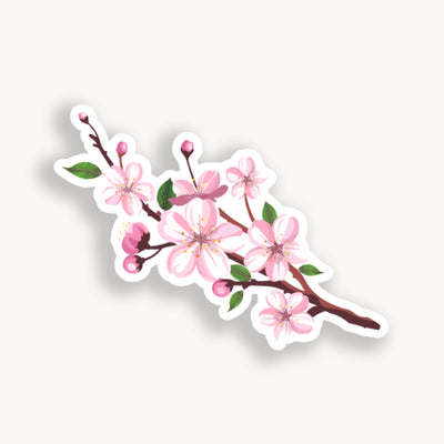 Sticker of a cherry blossom branch with pink flowers on a white background.