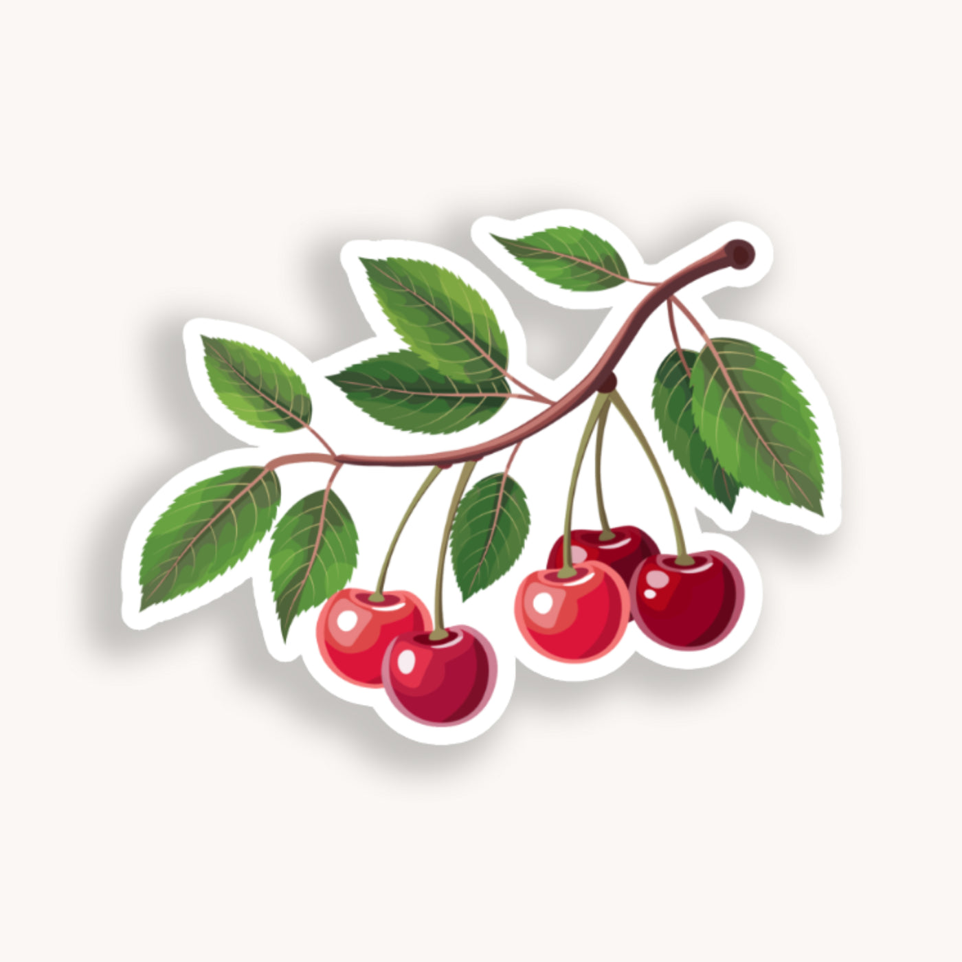 Illustration of a cherry branch with red cherries on a white background.