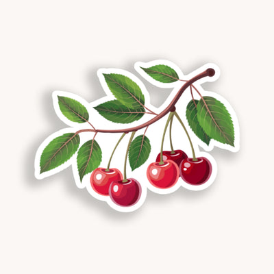 Illustration of a cherry branch with red cherries on a white background.