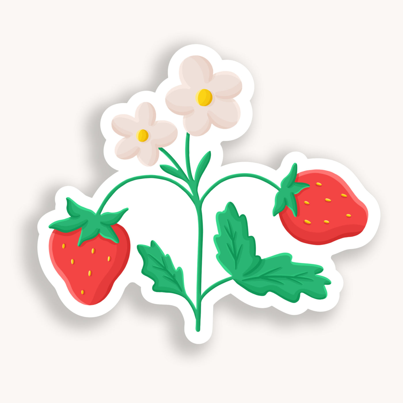 Clear strawberry vinyl sticker comes with a solid white backing, but is clear once the backing is removed. Can be used on recipe binders, mobile phones, water bottles, cups, binders, notebooks and more.