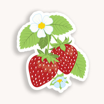 Food stickers, college stickers, MacBook stickers, nature stickers, calendar stickers, plants stickers, sticker for mom, waterproof stickers